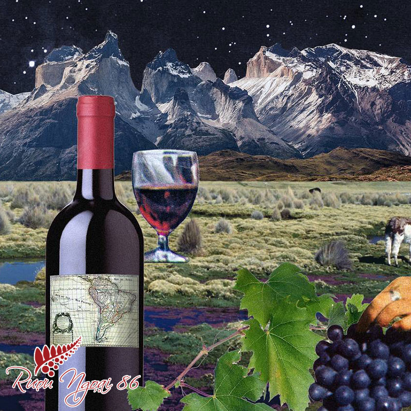 Rượu Vang Chile (Chilean wine)
