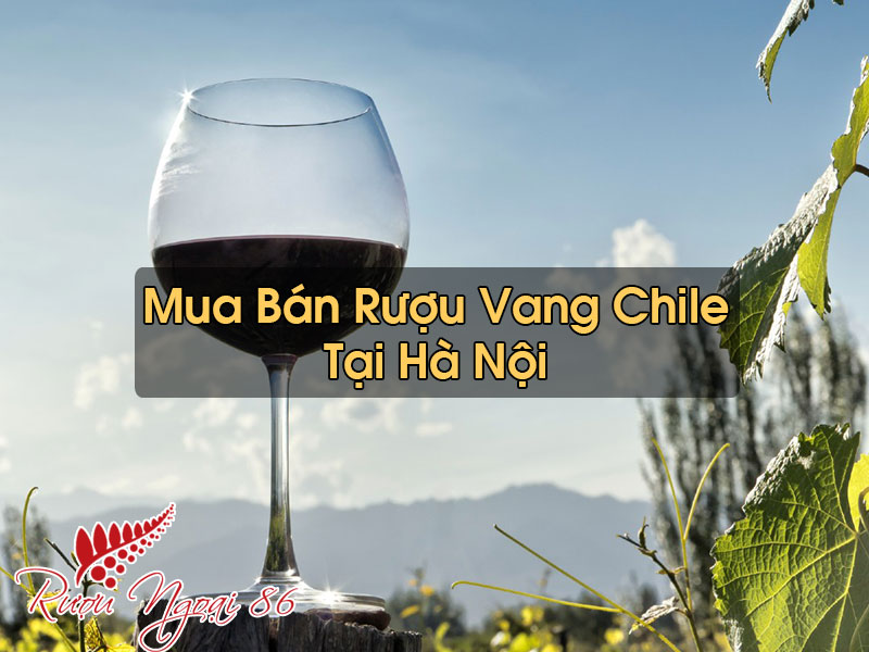 Rượu Vang Chile Tại Hà Nội
