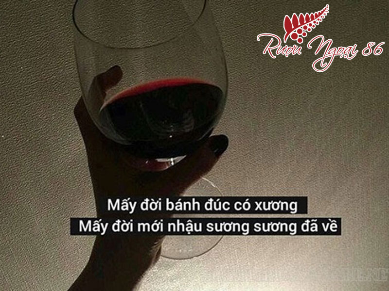 STT Về Rượu Vang